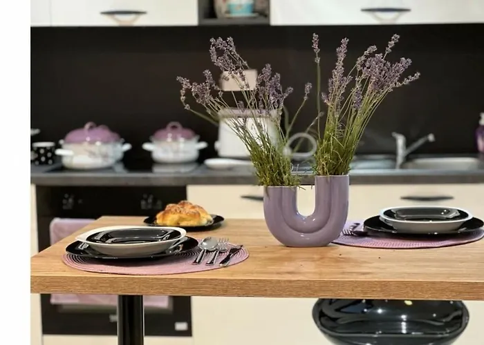 Vila Unique V With Pool Benkovac